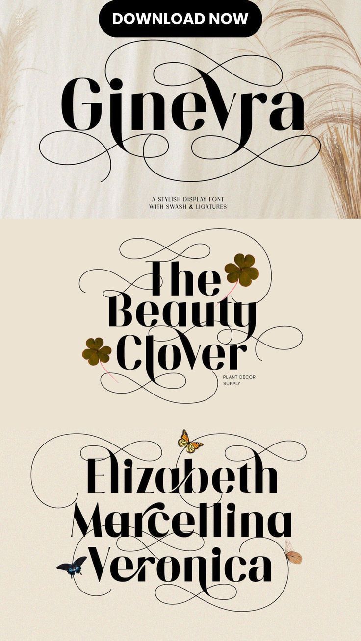 Familia de fuentes Ginevra | MyFonts