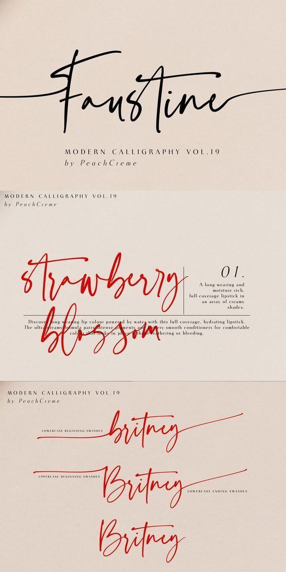 Faustine Modern Script Font by PeachCreme — Elegant Handwritten Style