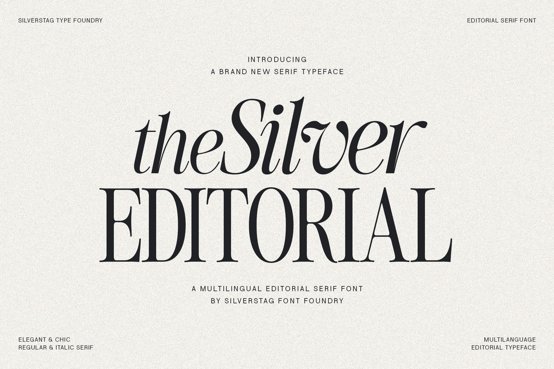 The Silver Editorial Serif Font, a Serif Font by SilverStag Type Foundry