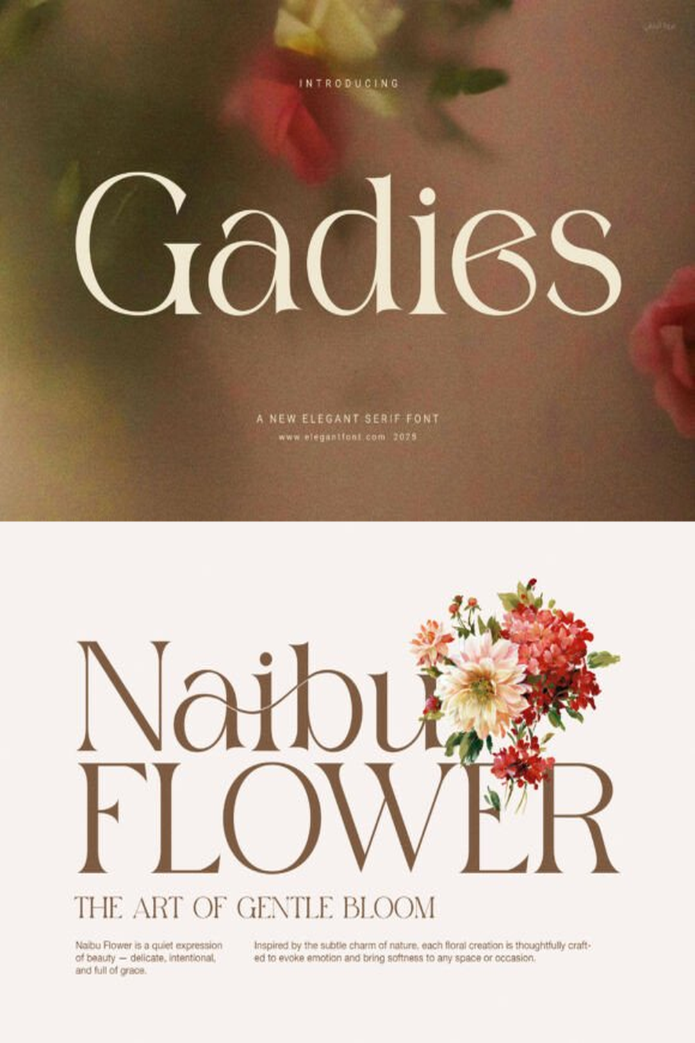 Gadies Font: Elegant Serif Typeface with Timeless Beauty and Modern Curves