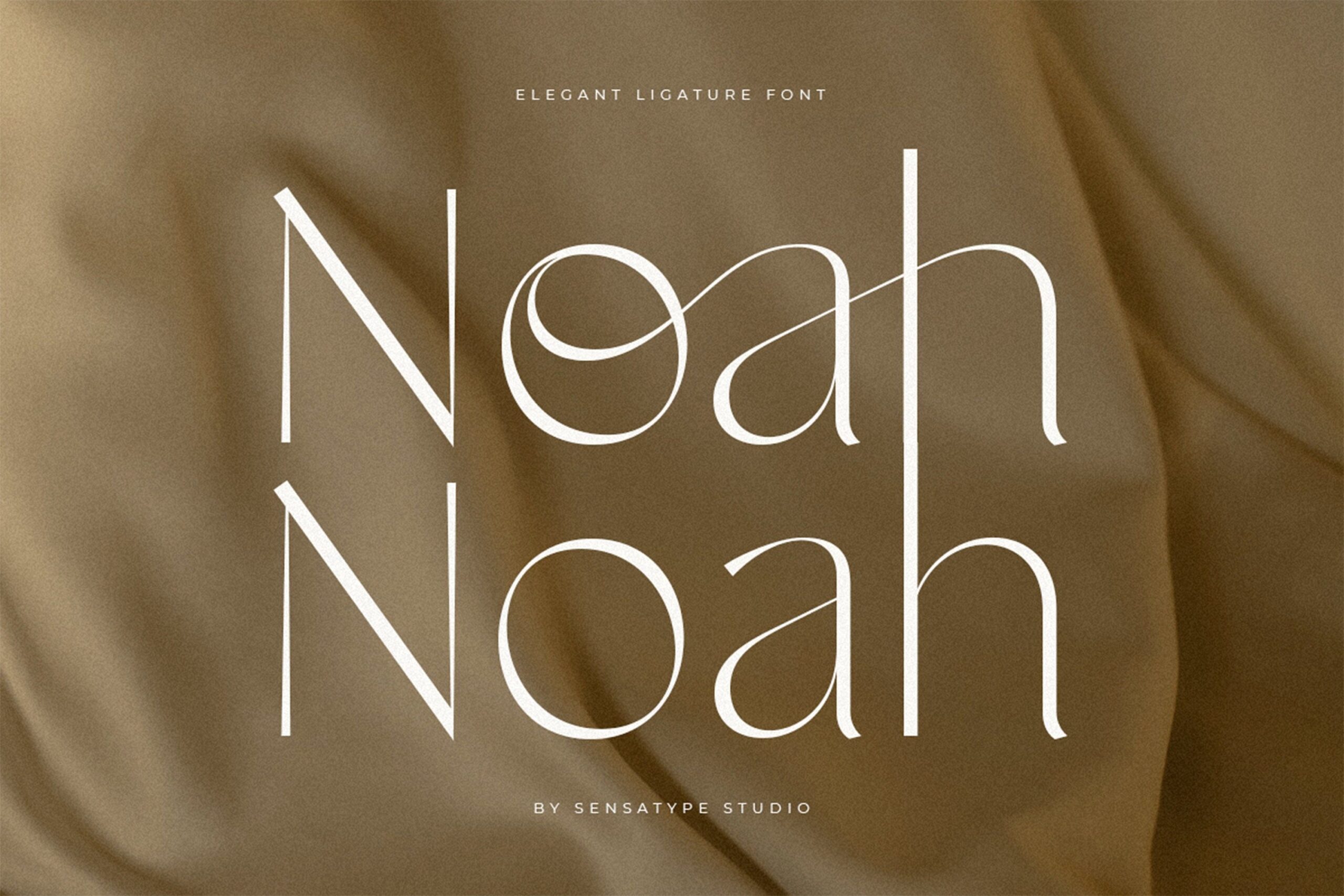 Noah Elegant Ligature Font : une écriture moderne pour les logos