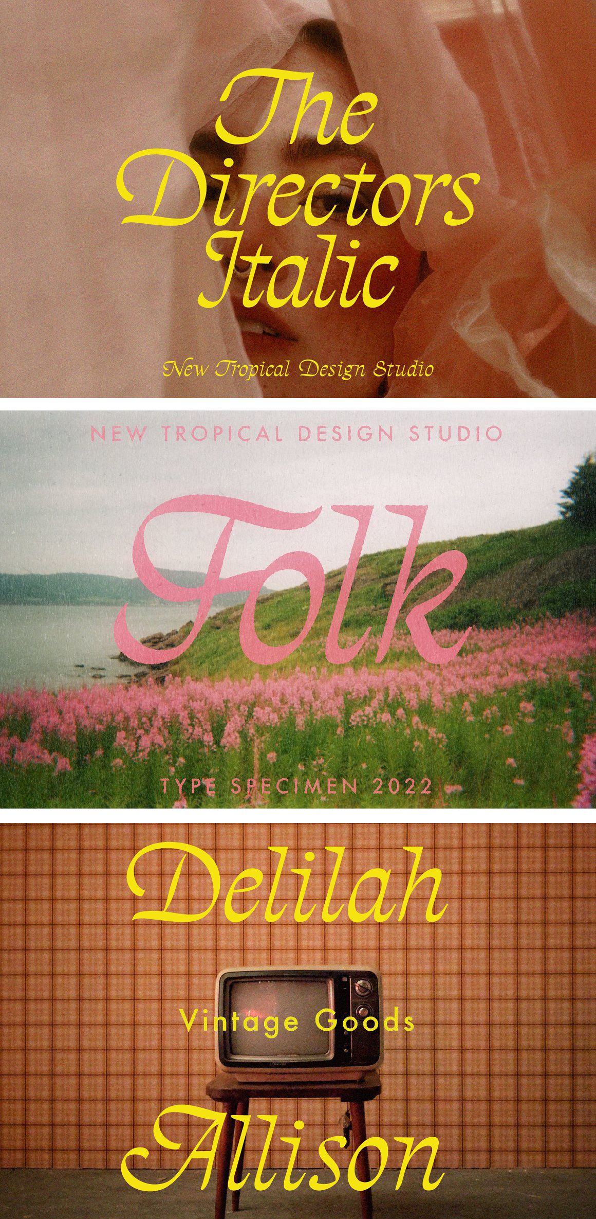 The Directors Italic Typeface: Sleek and Expressive Font for Creative Projects