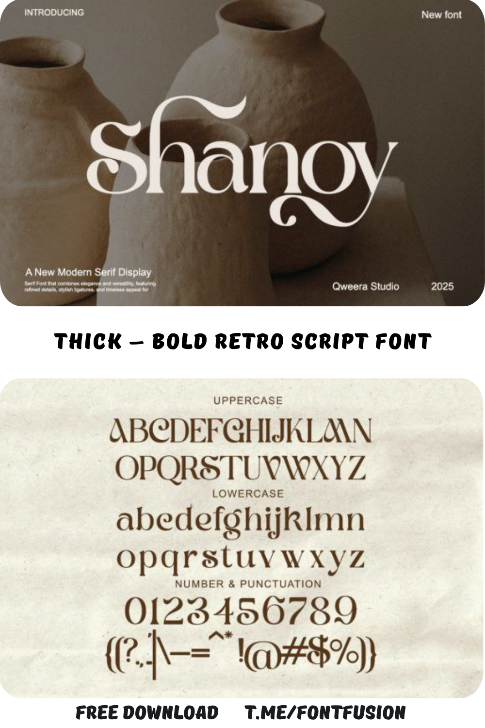 Shanoy – Modern Serif Display Font with Dramatic Swashes