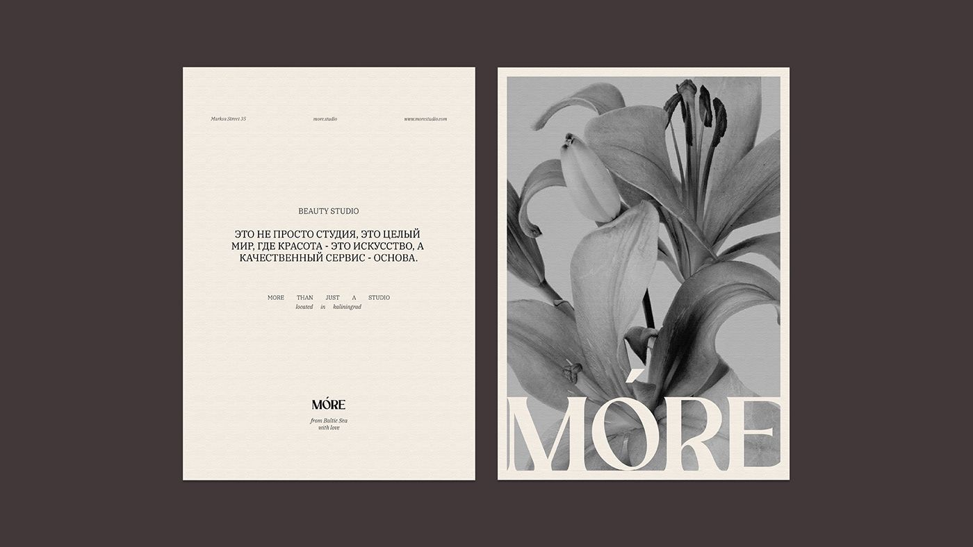 MORE / Beauty Studio Identity — Svetlana Savchuk