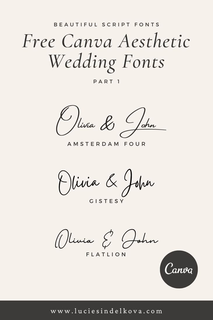 181848+ Fonts (2024) — Download Free & Premium Fonts from Creative Fabrica