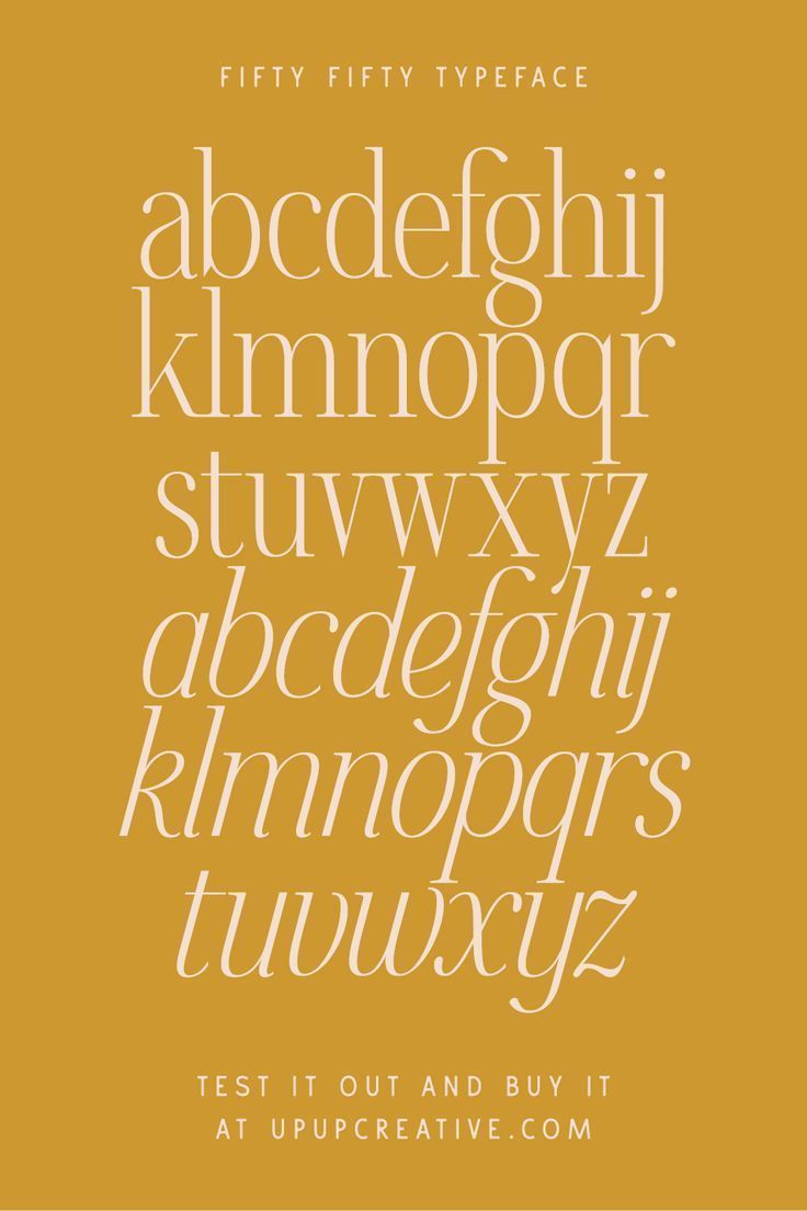 50/50: A sophisticated serif font with a modern twist🔻