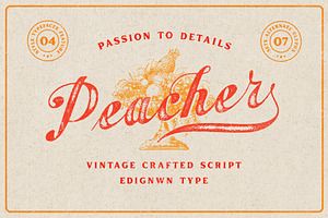 Peacher — Vintage Script Font