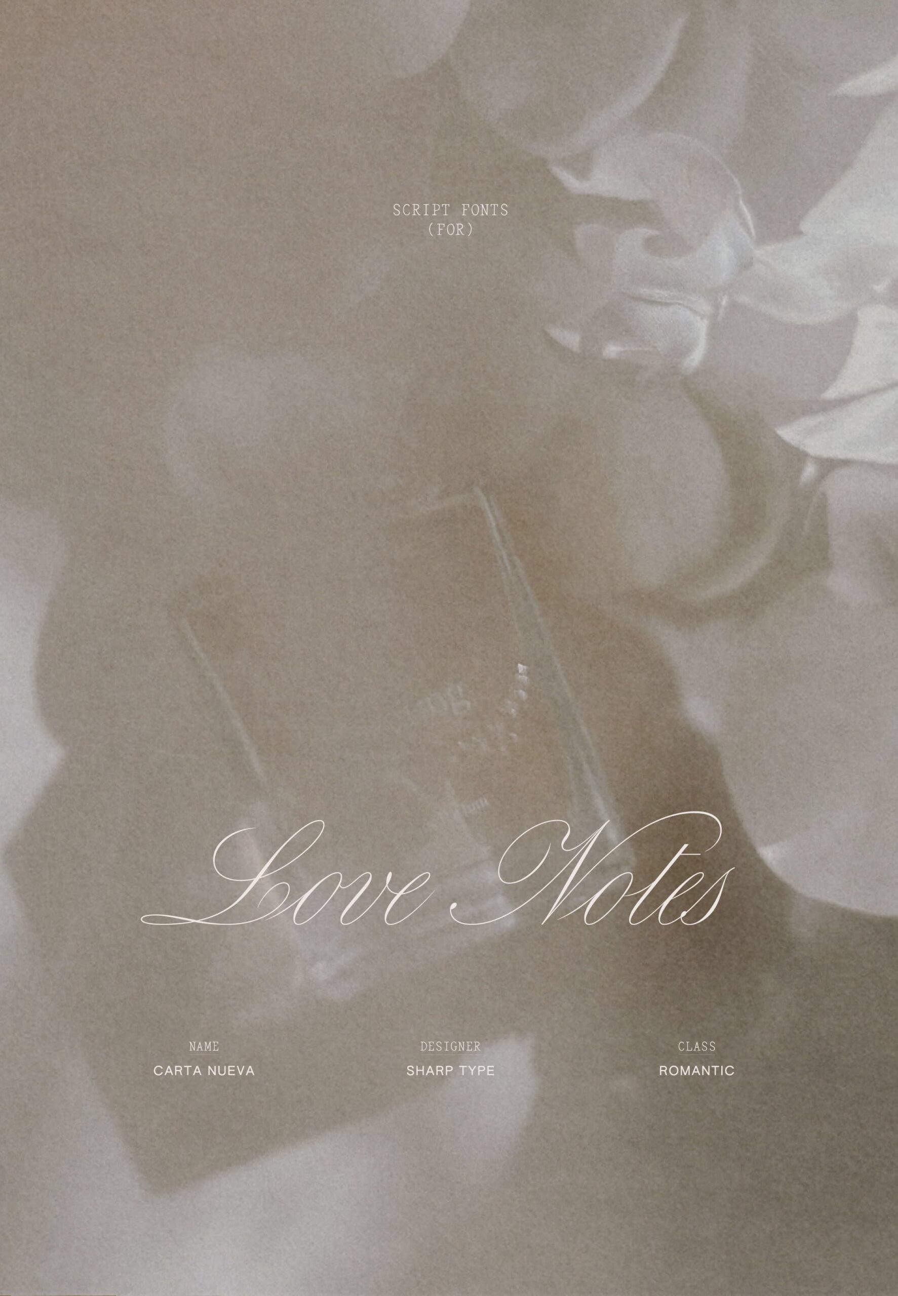 Vintage Typography Inspiration for Editorial Brand Design