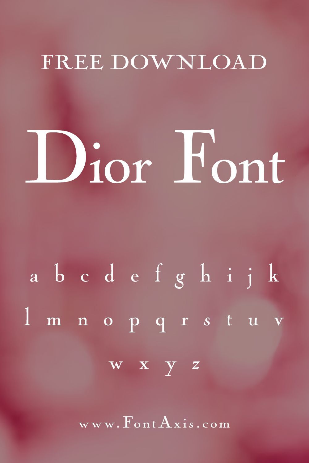 Elegant Calligraphy and Luxury Serif Fonts for Stylish Branding🤍