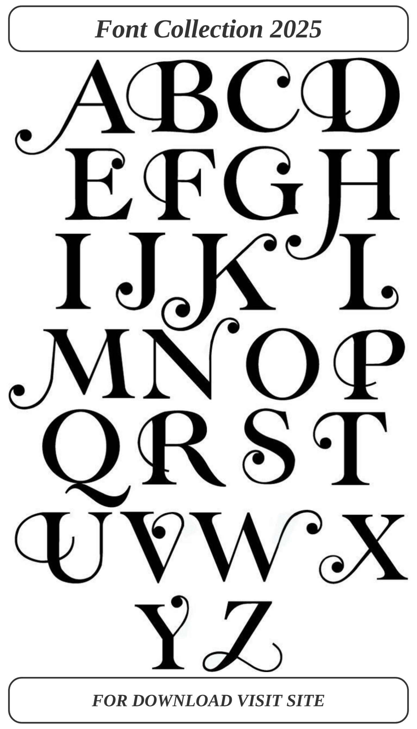 The ultimate vintage fonts for stunning holiday branding