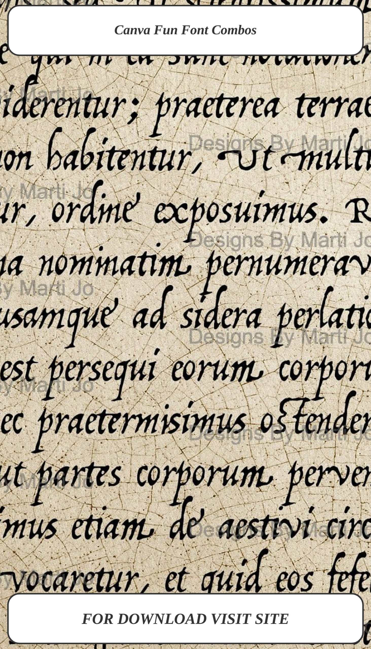 The best vintage fonts to elevate your branding projects