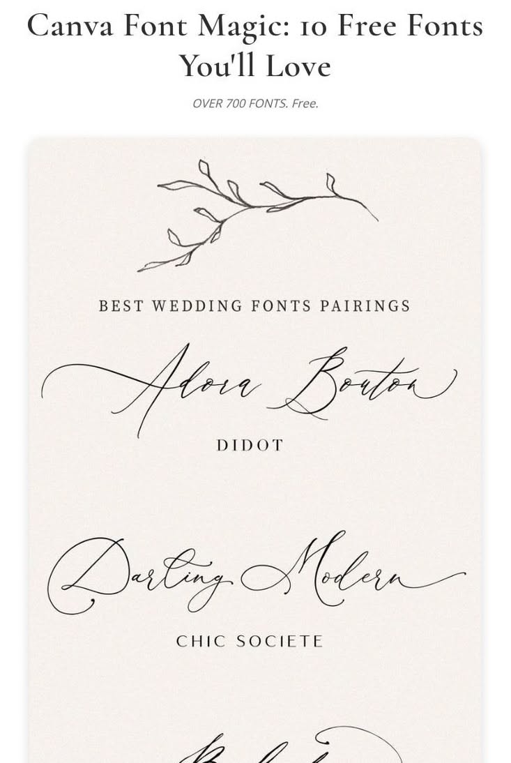 Canva Font Magic: 10 Free Fonts You’ll Love