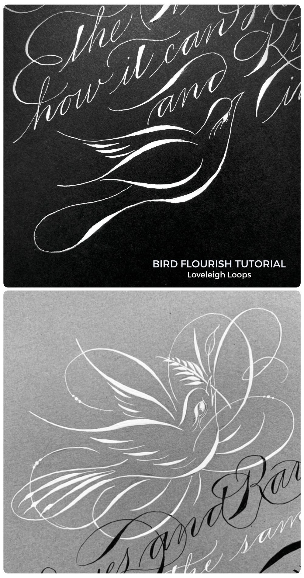 How To Make A Simple Bird Flourish (Tutorial + 20+ Examples) — Loveleigh Loops