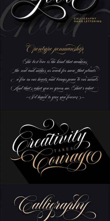 Aston Script Pro, a Script Font by TRF Fonts