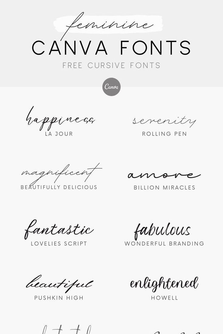 Elegant Cursive Fonts for Brand Logos