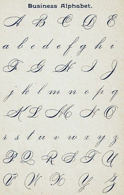 Elegant Typography Fonts for Design