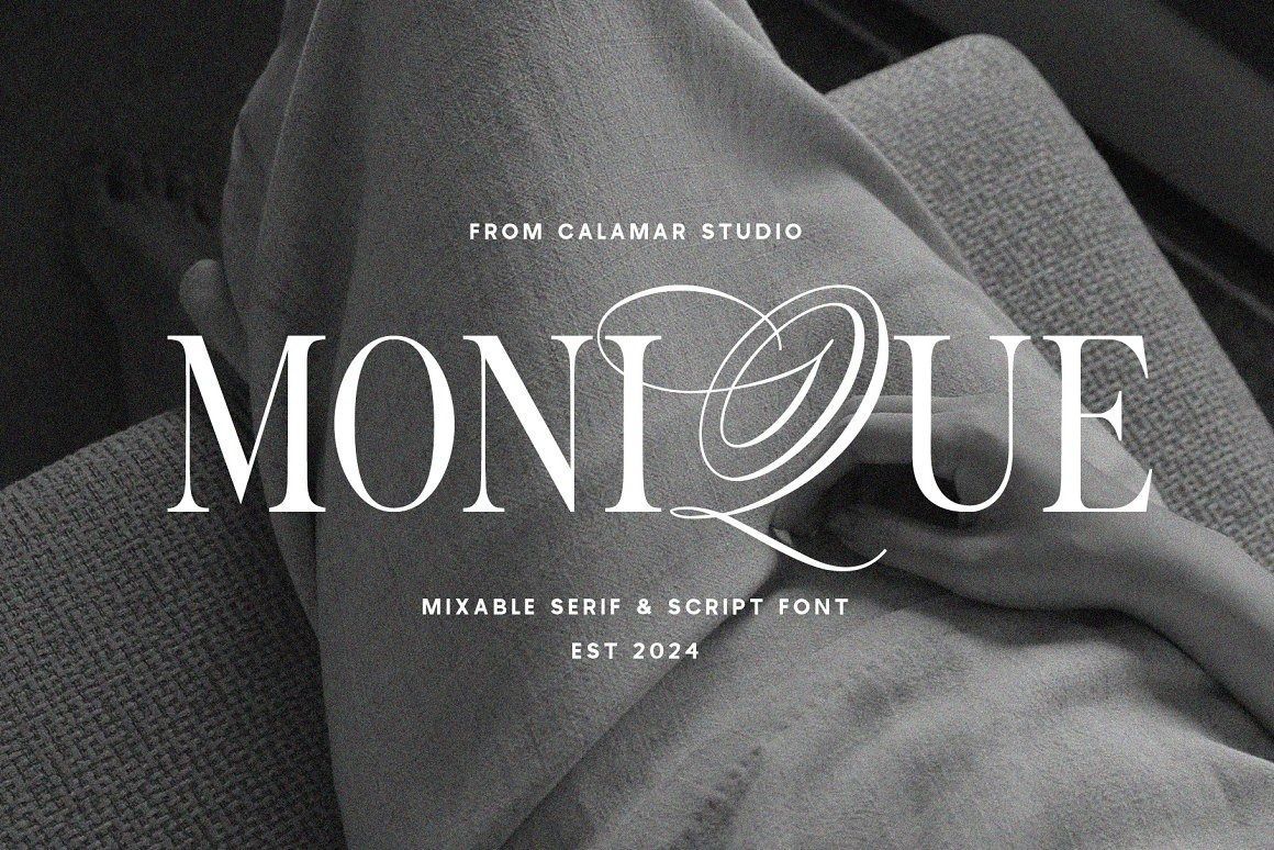 Monique Display Duo Font  Logo Font