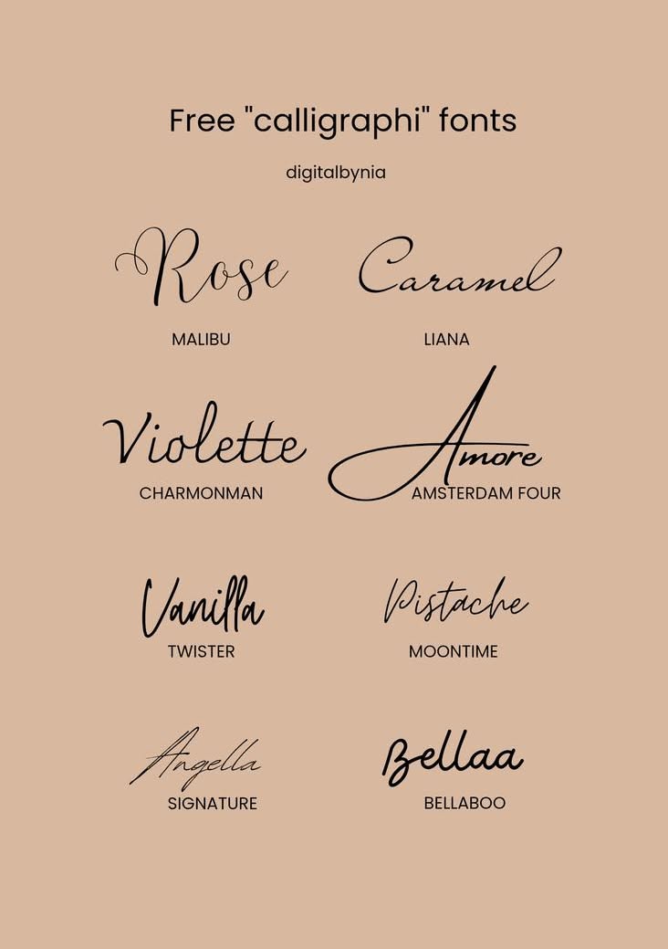 Calligraphi Fonts for Your Digital Planner | Free on Canva!