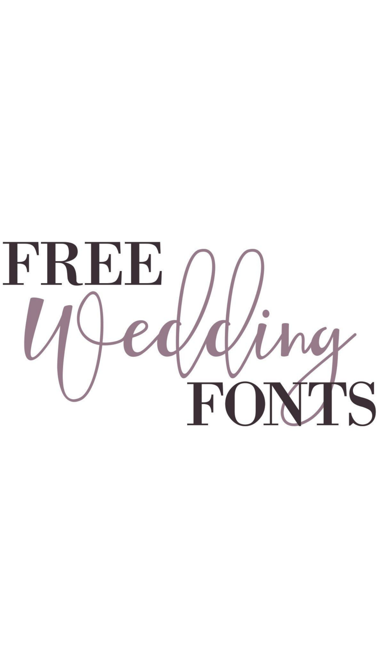 WT Bradford // Free Font.