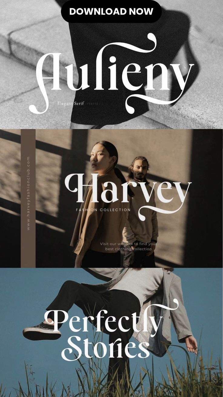 Aulieny || Elegant Serif | Creative Market